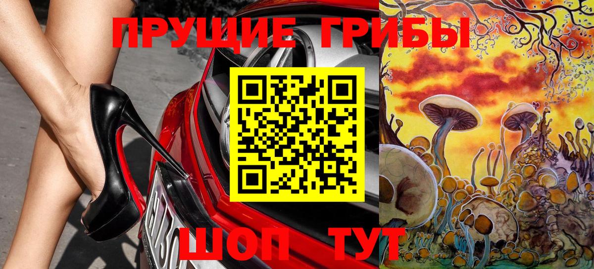 Галлюциногенные грибы Psilocybe Назарово