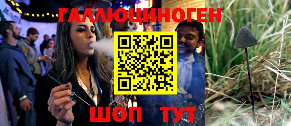 Назарово  Псилоцибиновые грибы мицелий  Вход с VPN 